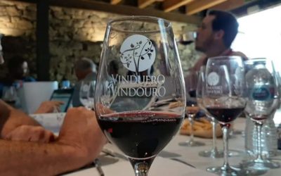 22 vinhos da Beira Interior premiados no maior concurso ibérico do setor